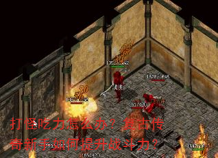 ��ֳ�����ô�죿���Ŵ��������������ս������