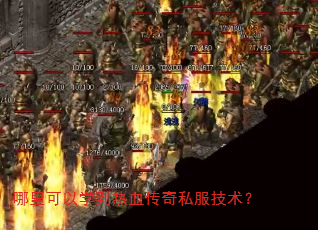 哪里可以学到热血传奇私服技术? 哪里可以学到热血传奇私服技术?