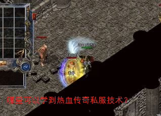 哪里可以学到热血传奇私服技术? 哪里可以学到热血传奇私服技术?