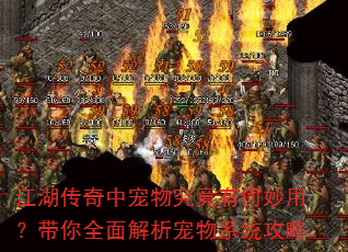 江湖传奇中宠物究竟有何妙用?带你全面解析宠物系统攻略 江湖传奇中宠物究竟有何妙用?带你全面解析宠物系统攻略