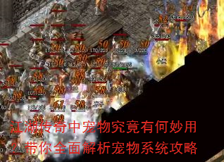 江湖传奇中宠物究竟有何妙用?带你全面解析宠物系统攻略 江湖传奇中宠物究竟有何妙用?带你全面解析宠物系统攻略