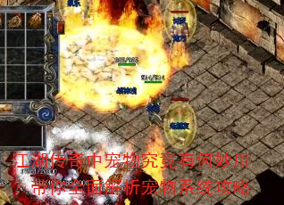 江湖传奇中宠物究竟有何妙用?带你全面解析宠物系统攻略 江湖传奇中宠物究竟有何妙用?带你全面解析宠物系统攻略