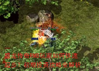 ʢ������RMB�����ο����𲽣�����Ͷ�ʹ���ȫ����