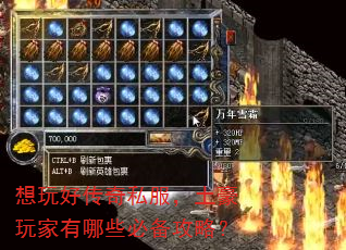 ����ô���˽���������������Щ�ر����ԣ�