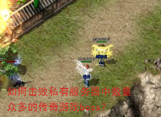��λ���˽�з������������ڶ�Ĵ�����Ϸboss��