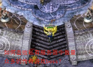 ��λ���˽�з������������ڶ�Ĵ�����Ϸboss��