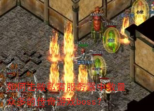 ��λ���˽�з������������ڶ�Ĵ�����Ϸboss��