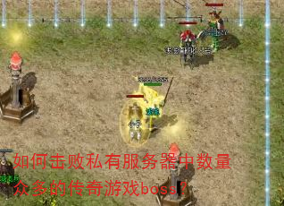 ��λ���˽�з������������ڶ�Ĵ�����Ϸboss��