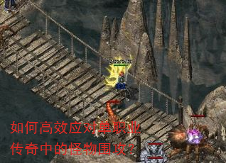 ��θ�ЧӦ�Ե�ְҵ�����еĹ���Χ����