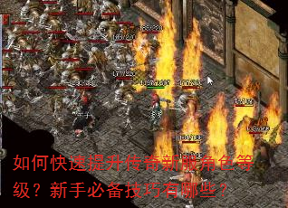 如何快速提升传奇新服角色等级?新手必备技巧有哪些? 如何快速提升传奇新服角色等级?新手必备技巧有哪些?
