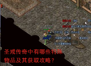 圣戒传奇中有哪些特殊物品及其获取攻略? 圣戒传奇中有哪些特殊物品及其获取攻略?
