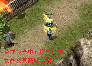 圣戒传奇中有哪些特殊物品及其获取攻略? 圣戒传奇中有哪些特殊物品及其获取攻略?