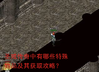 圣戒传奇中有哪些特殊物品及其获取攻略? 圣戒传奇中有哪些特殊物品及其获取攻略?