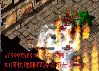 sf999�·�������ԣ���ο���׬ȡ��Ϸ����װ����