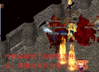传奇私服新手如何快速升级?有哪些高效方案? 传奇私服新手如何快速升级?有哪些高效方案?