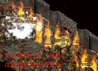 ��λ�ȡ�����Ųо�����ϸ�����뼼�ɷ���