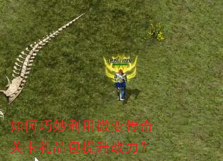 �����������΢�䴫��ؿ���Ʒ������ս����