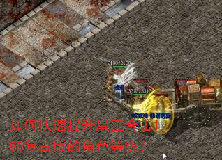 如何快速提升星王合击1.80复古版的角色等级? 如何快速提升星王合击1.80复古版的角色等级?