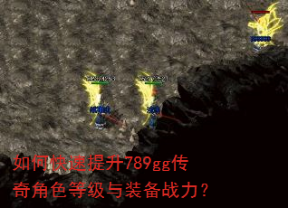 ��ο�������789gg�����ɫ�ȼ���װ��ս����