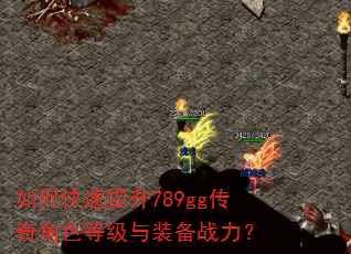 ��ο�������789gg�����ɫ�ȼ���װ��ս����