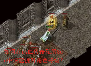 �������Ѫ����˽��Sun�п���������ɫ�ȼ���
