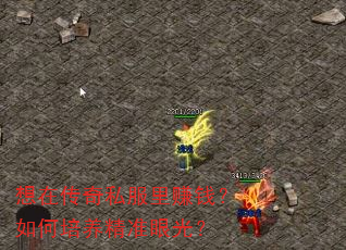 ���ڴ���˽����׬Ǯ�����������׼�۹⣿