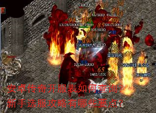 ��׿���濪������β�ѯ������ѡ����������ЩҪ�㣿