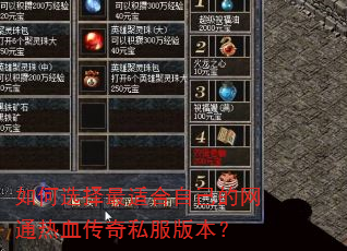 如何选择最适合自己的网通热血传奇私服版本? 如何选择最适合自己的网通热血传奇私服版本?