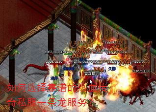 ���ѡ���׵���Ѫ����˽��һ��������