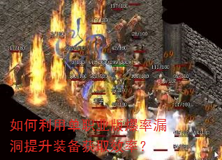 ������õ�ְҵ�汬��©������װ����ȡЧ�ʣ�