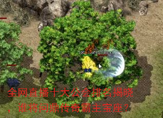 ȫ��ֱ��ʮ�󹫻�����������˭���ʶ��������������