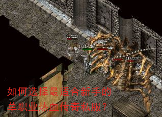如何选择最适合新手的单职业热血传奇私服? 如何选择最适合新手的单职业热血传奇私服?