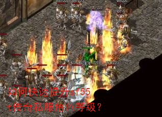 ��ο�������sf55t����˽����ɫ�ȼ���