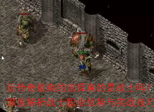 �洫����ˬ��ѡ�������սʿ����Ƚ���սʿְҵ������ʵս����