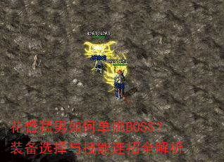 ����������ε���BOSS��װ��ѡ���뼼������ȫ����
