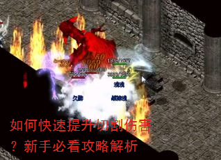 如何快速提升切割伤害?新手必看攻略解析 如何快速提升切割伤害?新手必看攻略解析