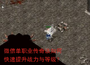 ΢�ŵ�ְҵ�������ο�������ս����ȼ���