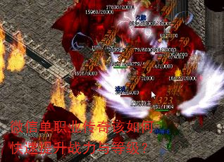 ΢�ŵ�ְҵ�������ο�������ս����ȼ���