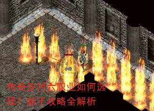 ����������ְҵ���ѡ�����ֹ���ȫ����