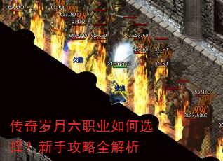����������ְҵ���ѡ�����ֹ���ȫ����