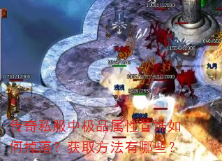 ����˽���м�Ʒ����������ε��䣿��ȡ��������Щ��