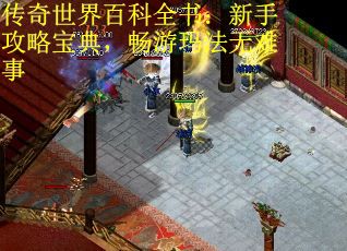 传奇世界百科全书：新手攻略宝典，畅游玛法无难事